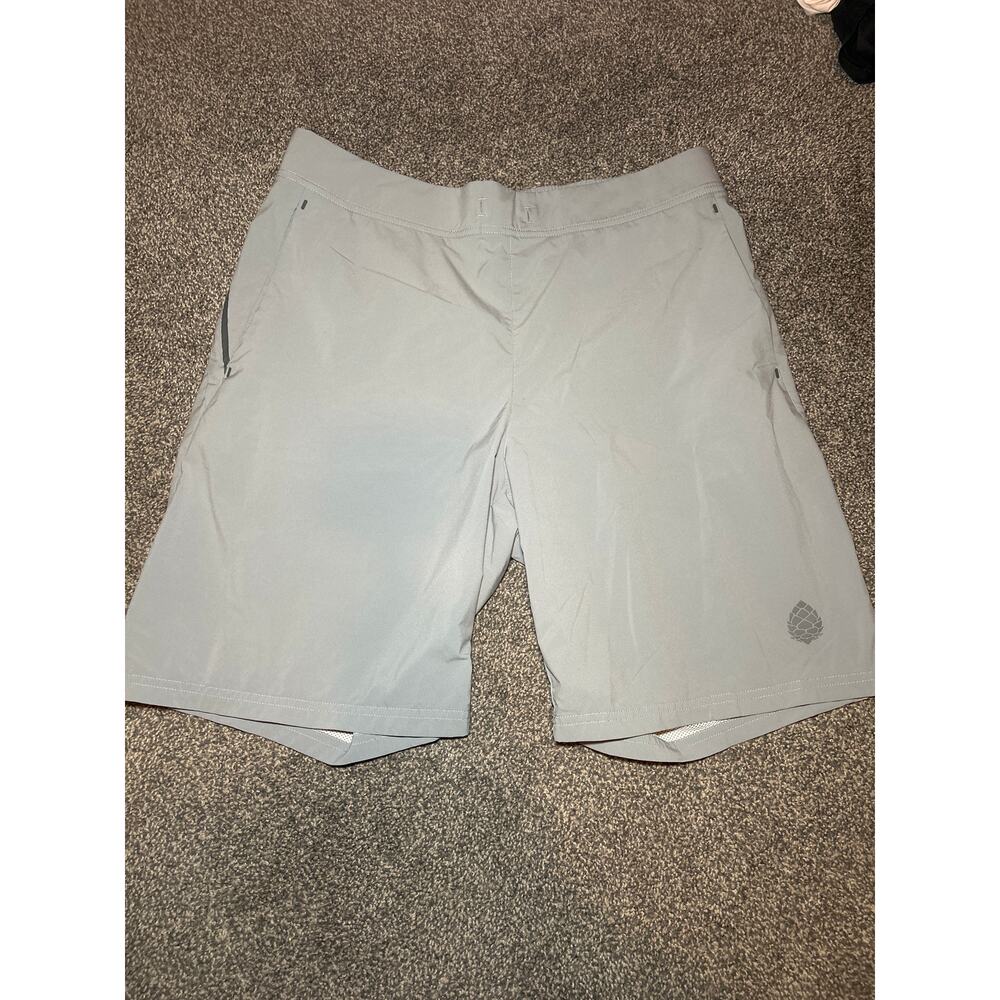 Stio Men's large Gray Lined 19" Hideout Shorts Athletic Performance Outdoors